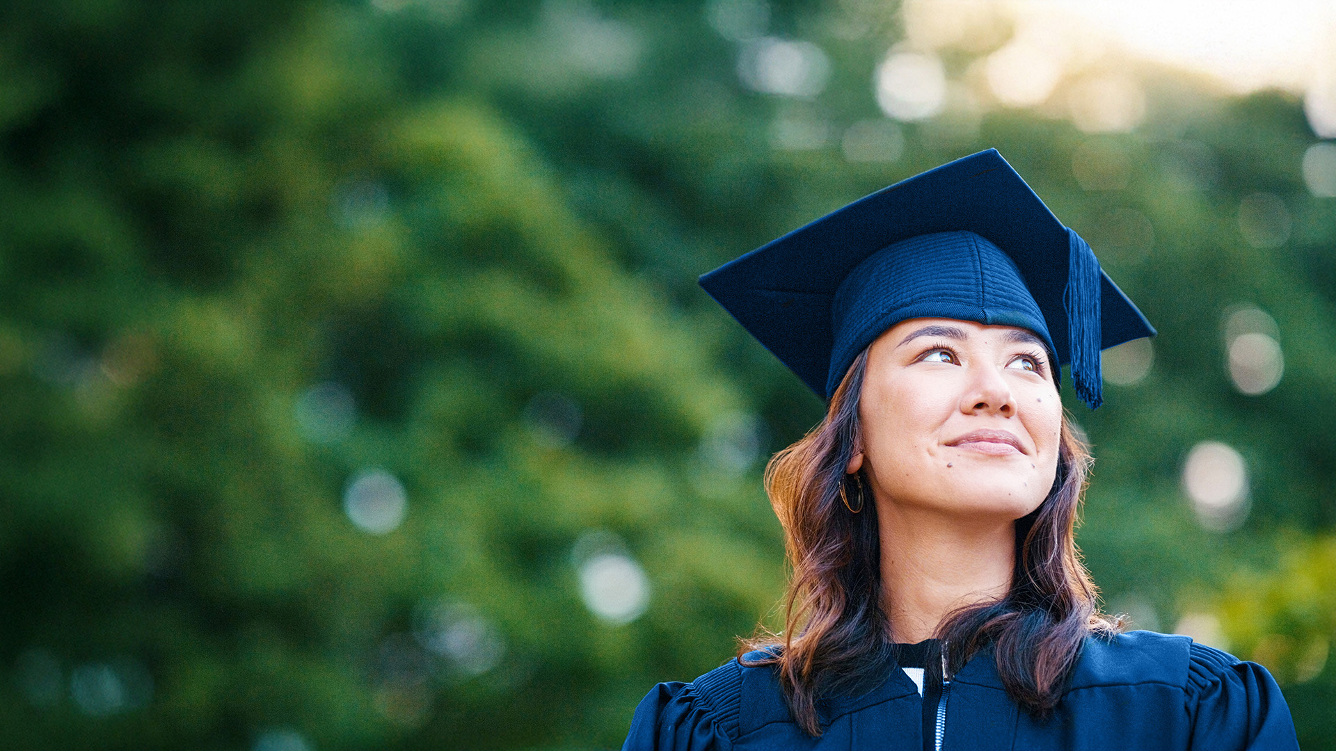 Bachelor Degrees