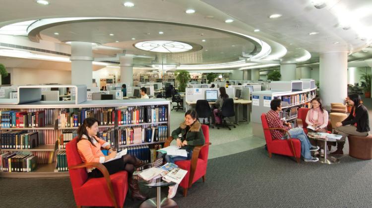 Students studying in library